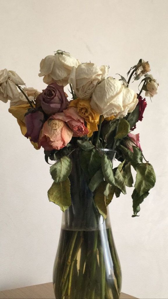 Wilting flowers in a vase due to lack of proper care