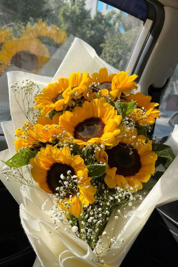 Fresh sunflower with bright yellow petals in full bloom 